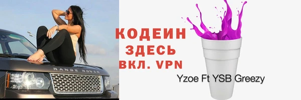 ПСИЛОЦИБИНОВЫЕ ГРИБЫ Кукмор