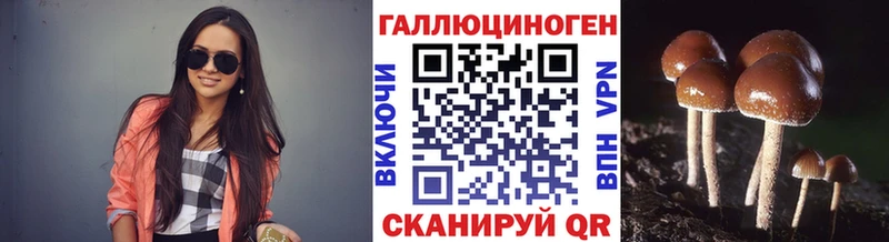Псилоцибиновые грибы мицелий  сколько стоит  Каменногорск 